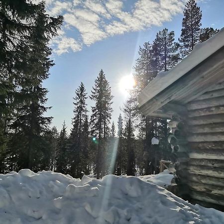 Mantytupa Lodge Syöte Zewnętrze zdjęcie