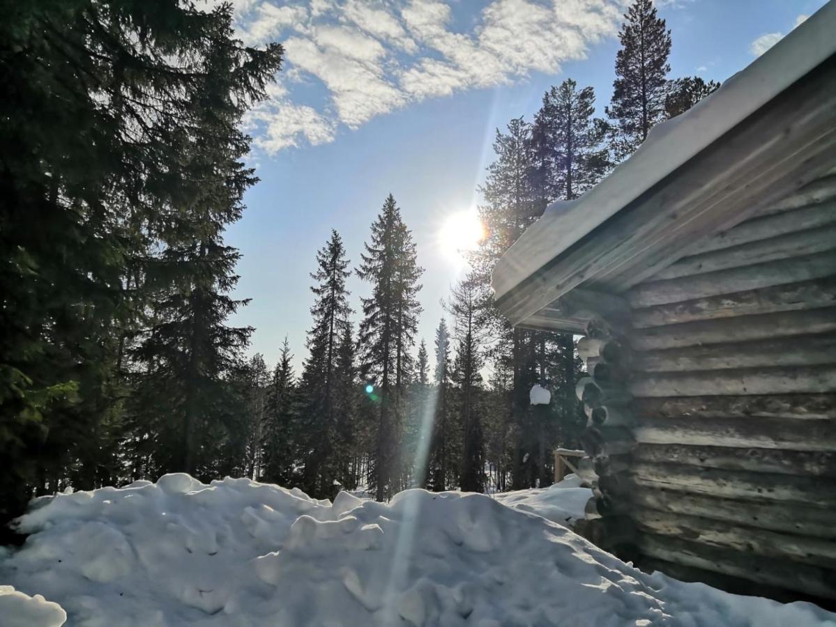 Mantytupa Lodge Syöte Zewnętrze zdjęcie